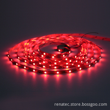 SMD LED Strip-2